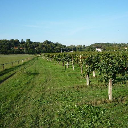 Agriturismo Lupo Bianco Monzambano Εξωτερικό φωτογραφία