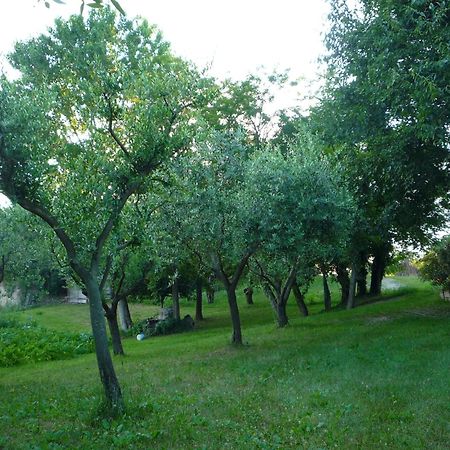 Agriturismo Lupo Bianco Monzambano Εξωτερικό φωτογραφία