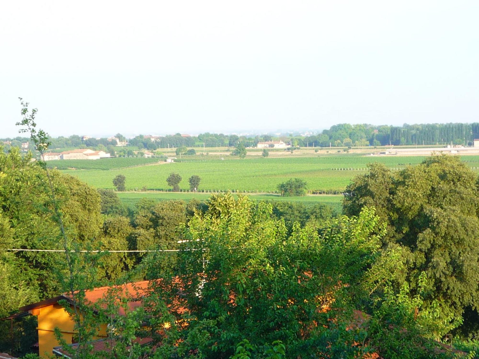 Agriturismo Lupo Bianco Monzambano Εξωτερικό φωτογραφία