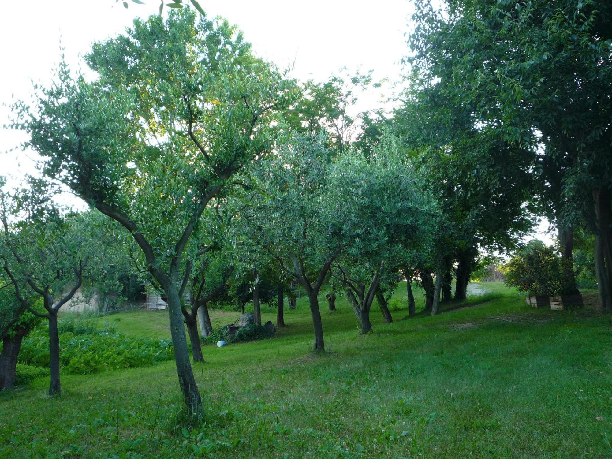 Agriturismo Lupo Bianco Monzambano Εξωτερικό φωτογραφία