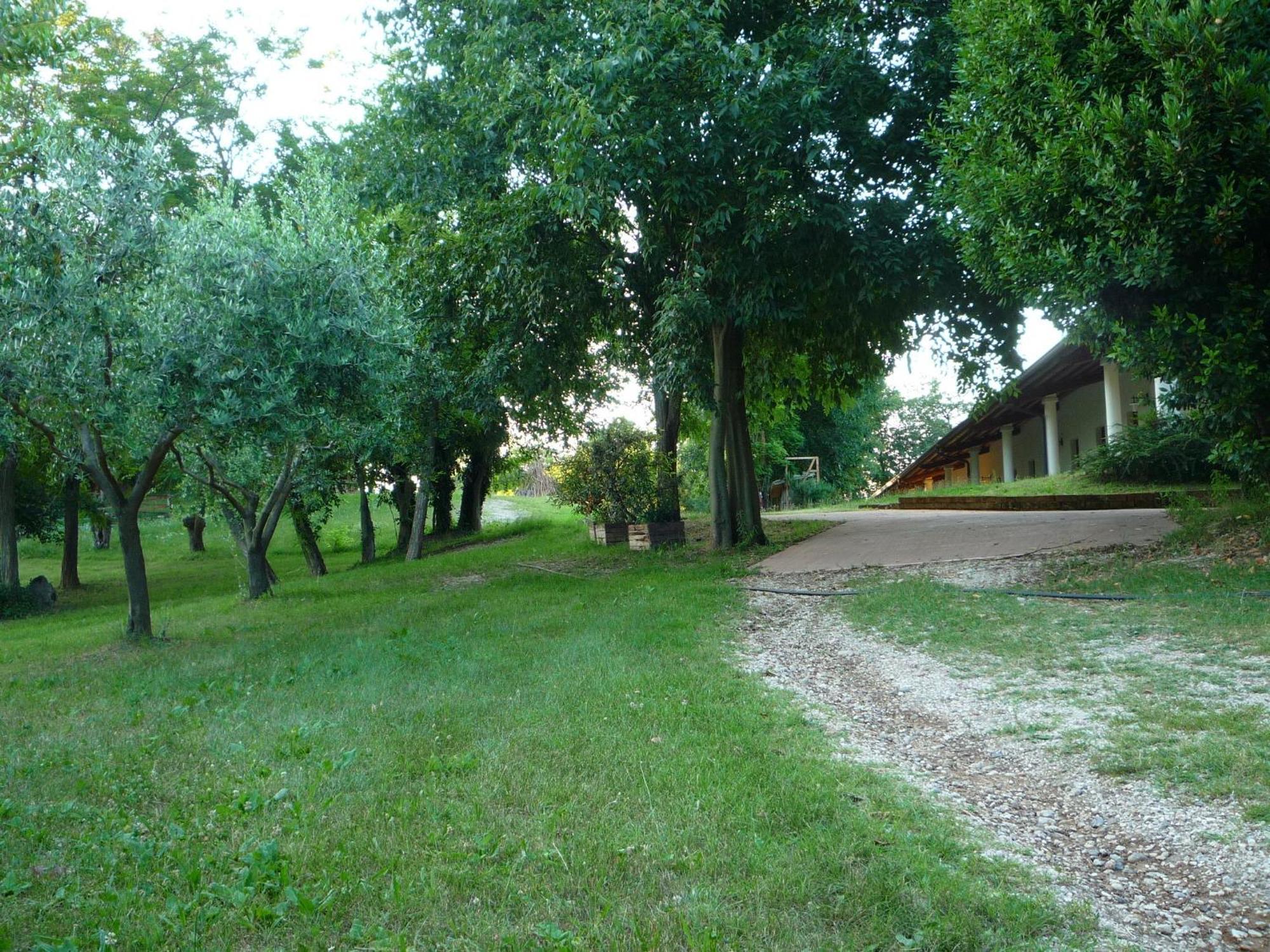 Agriturismo Lupo Bianco Monzambano Εξωτερικό φωτογραφία
